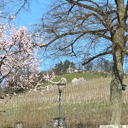 Barrierefrei Mit Parkplatz Vor Der Tuer *
